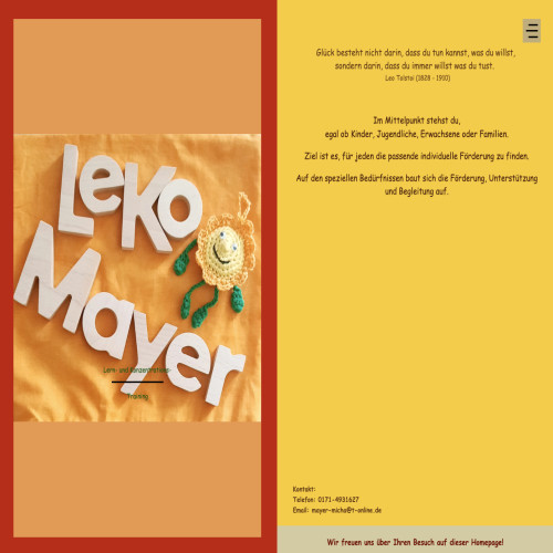 www.leko-mayer.de