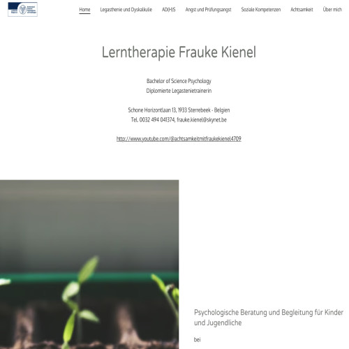 www.lerntherapiefraukekienel.be